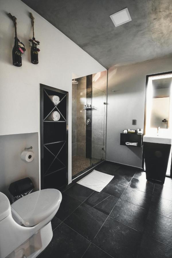 Origen75 Loft - Villas - Skypool - Vinedo, Valle De Guadalupe Buitenkant foto