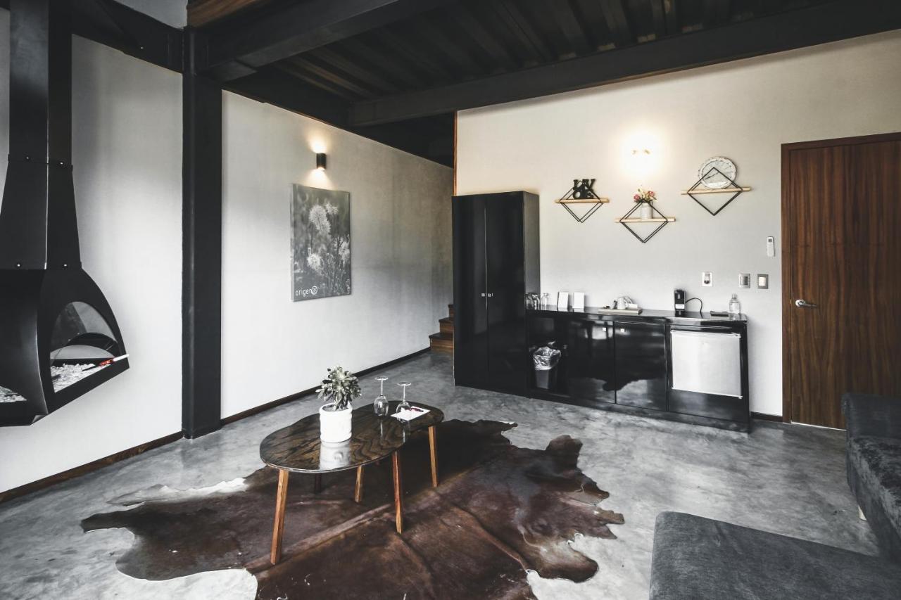 Origen75 Loft - Villas - Skypool - Vinedo, Valle De Guadalupe Buitenkant foto